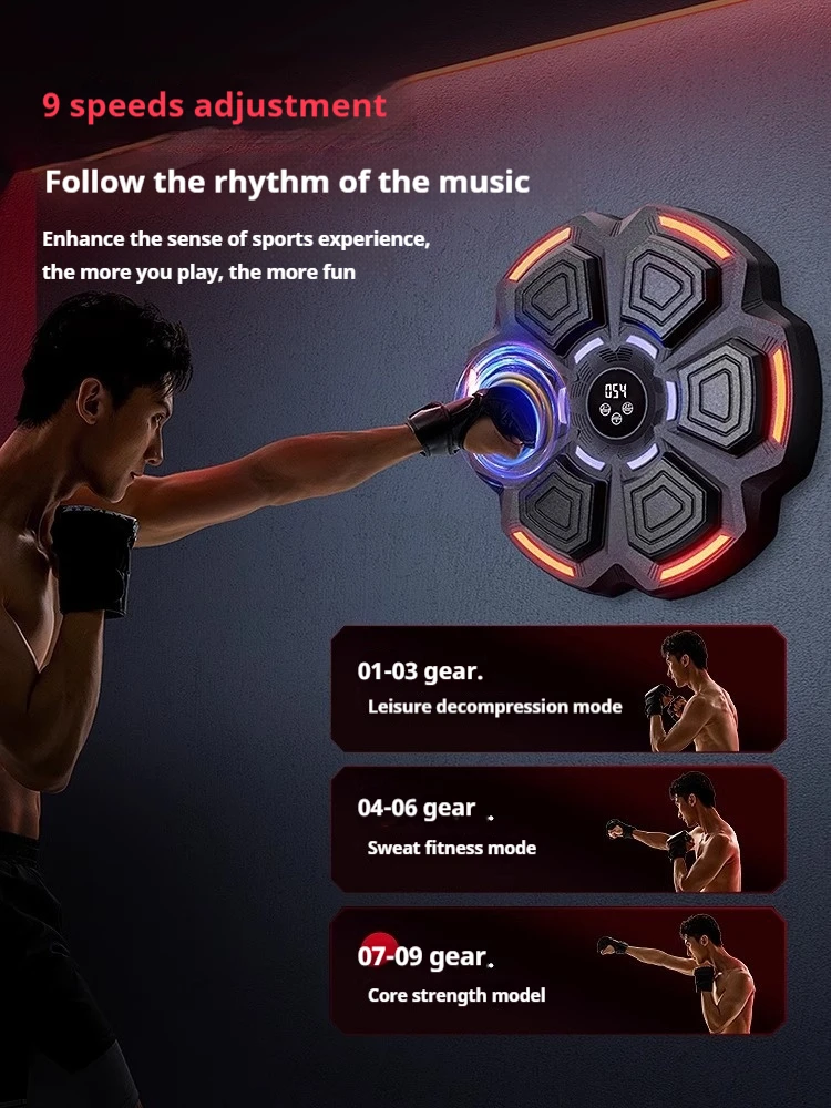 هدف ملاكمة ذكي قابل للتعديل عل - مراجعة Home Gym Wall وسعره